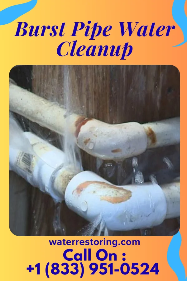 Burst Pipe Water Cleanup in Pleasantdale, NJ