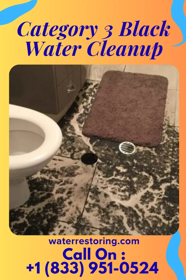 Category 3 Black Water Cleanup in Pleasantdale, NJ