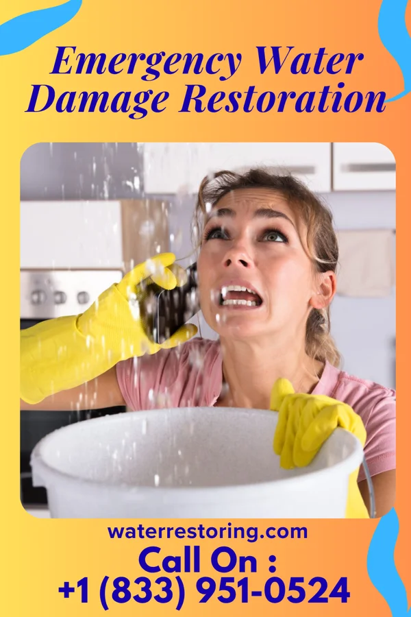 Emergency Water Damage Restoration in Pleasantdale, NJ