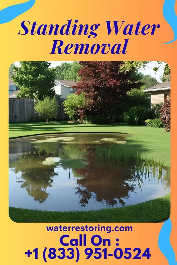 Standing Water Removal in Pleasantdale, NJ